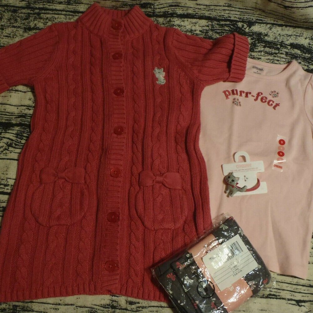 Gymboree Classroom Kitty Size 5 Sweater Shirt 6 Leggings Pony Outfit NWT